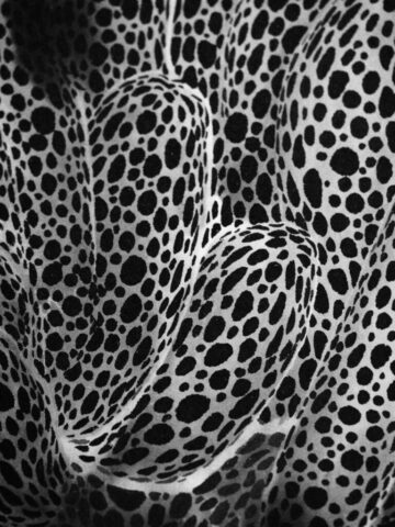 NC-2022-36x70-detail4