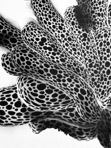 NC-2022-36×70-Détail8